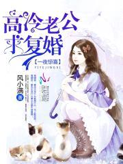 一夜惊喜:首席绝宠娇妻