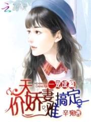 一宠成瘾:天价娇妻难搞定