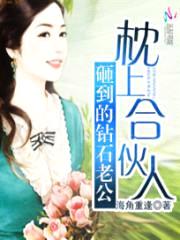 枕上合伙人:砸到的钻石老公