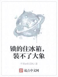 锁的住冰箱,装不了大象