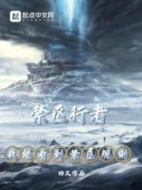 我能看到禁区规则