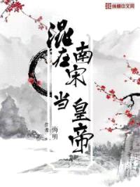 混在南宋当皇帝