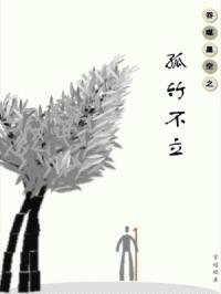 吞噬星空之孤竹不立