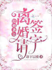 隐婚老公:离婚请签字