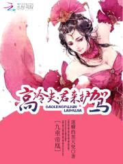 九重帝凰:高冷夫君来护驾