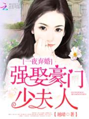 一夜弃婚:强娶豪门少夫人