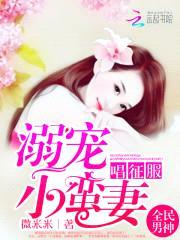 全民男神唱征服:溺宠小蛮妻