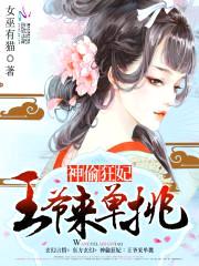 神偷狂妃:王爷来单挑