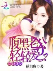 隐婚真爱:腹黑老公轻轻爱