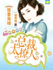 猎妻宠婚:总裁太撩人