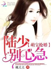 萌宝抢婚:陆少,别心急
