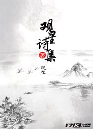 观星诗集