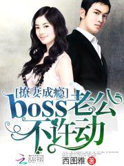 撩妻成瘾:boss老公,不许动