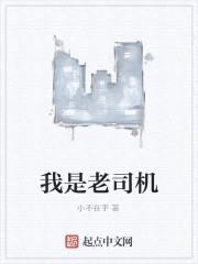 我是老司机